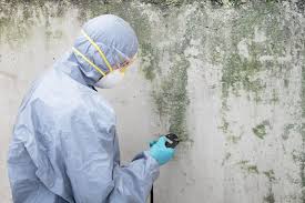 Environmental Consulting for Mold Prevention in Lake Charles, LA